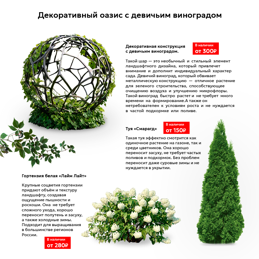 Описание1.jpg